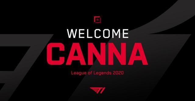 球水平的不 球水平的不