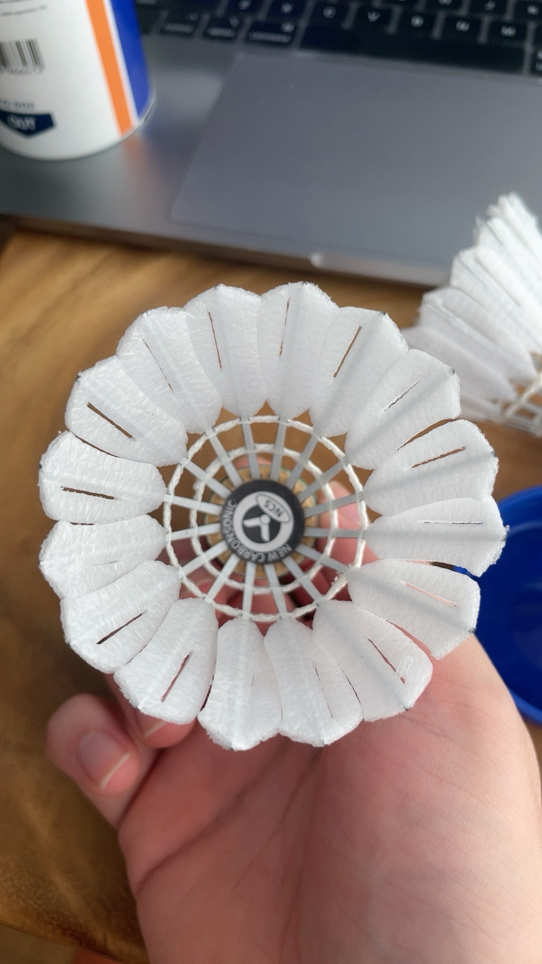 澳网女单凯斯首夺大满贯冠军 萨巴伦卡3连冠梦碎.