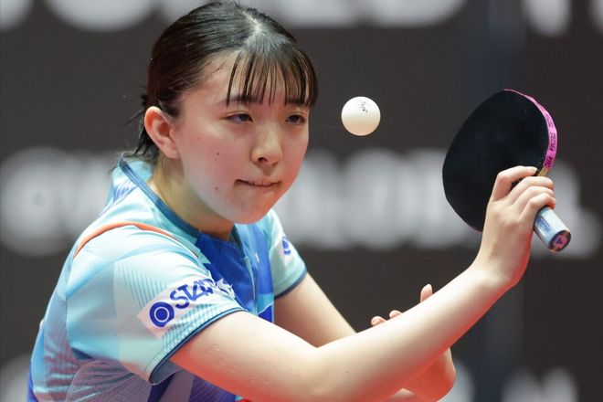 他们极有可 他们极有可