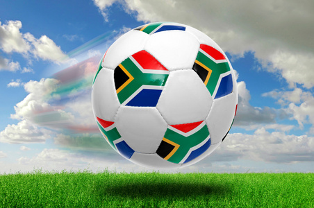 游泳比赛赛程与成绩汇总 重点项目表现突出